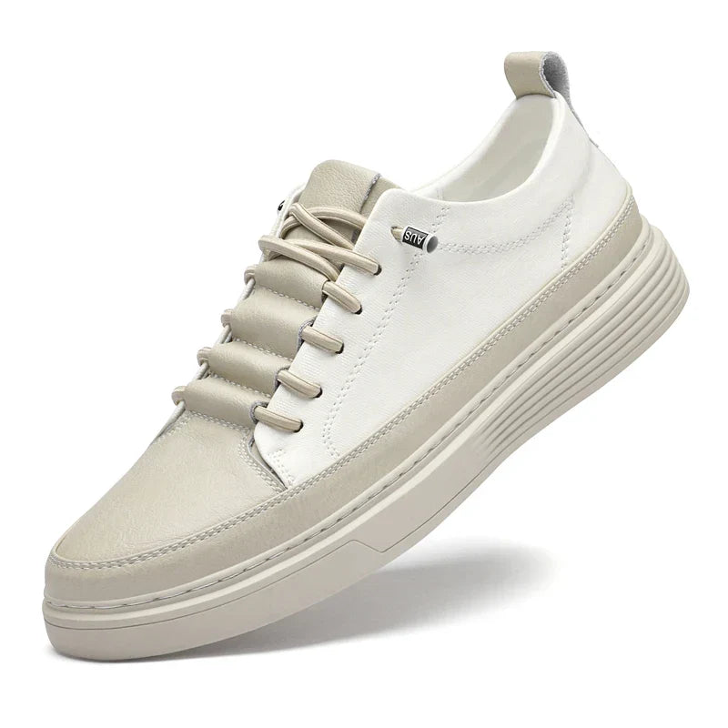Baskets en cuir Torino